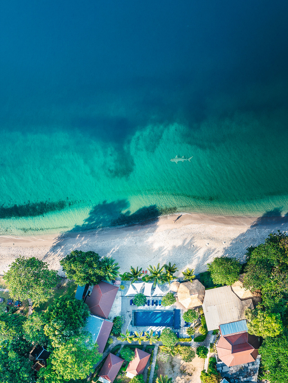Fiji is home to several pristine beaches - Shutterstock