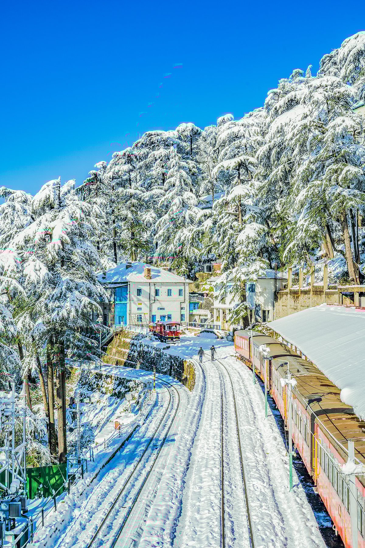 A beautiful view of the snow-capped season in Shimla - Shutterstock