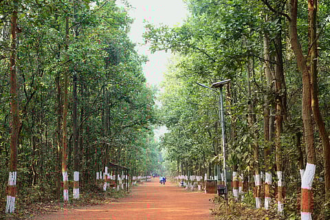 Birsa Zoological Park, Ranchi