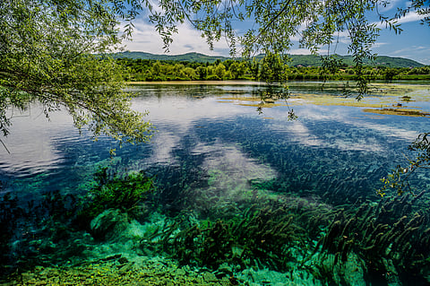 The small and serene Lake Posta Fibreno is home to a natural floating island