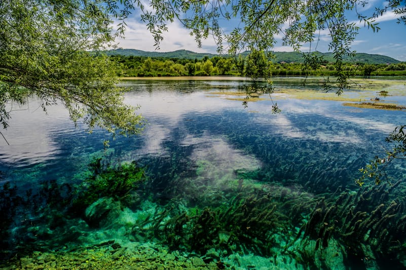 The small and serene Lake Posta Fibreno is home to a natural floating island