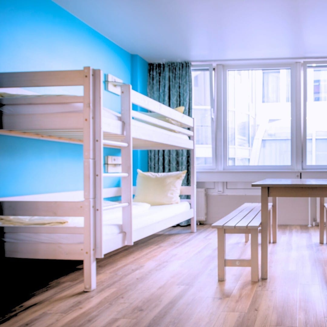 A glimpse of wombats hostels