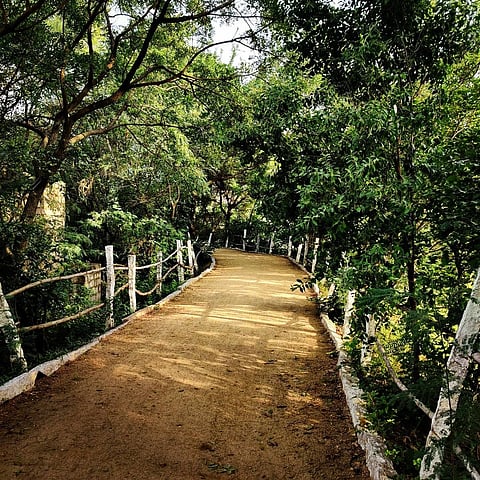Inside Pala Pitta Cycling Park