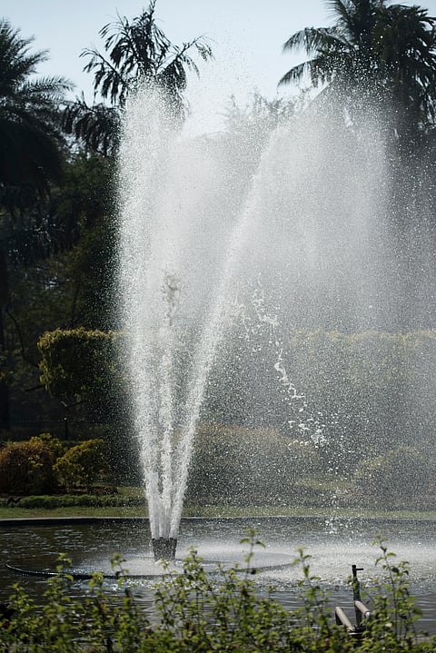 A view of Nehru Zoological Park