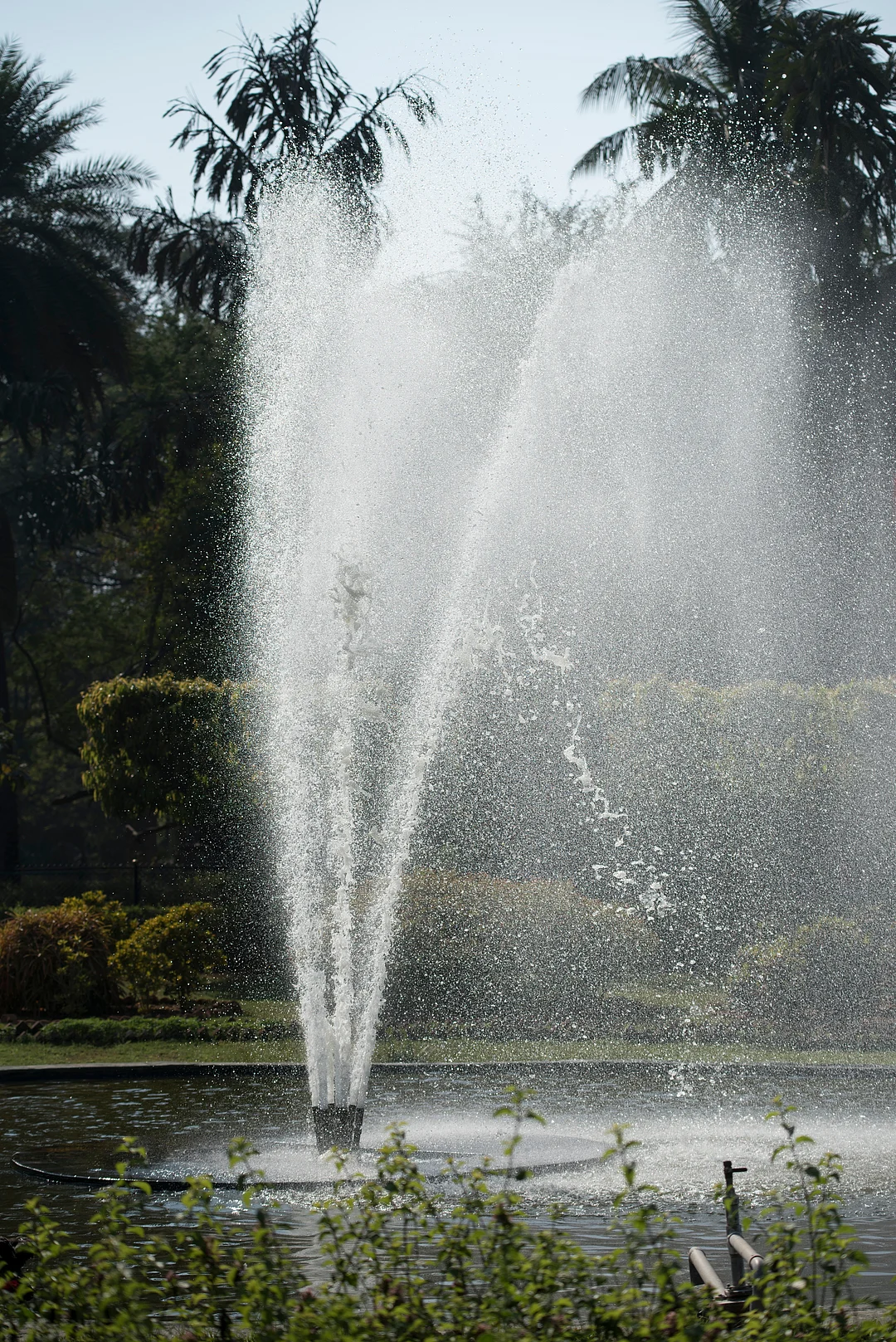 A view of Nehru Zoological Park