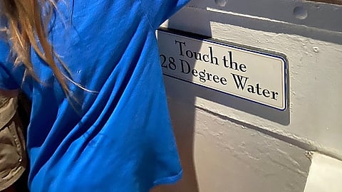 Plunging your hand into -2°C water is a popular attraction at the Titanic Museum Attraction