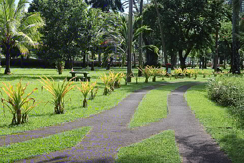 Thurston Gardens, Fiji
