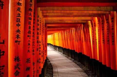 Torii gates at the Fushimi Inari-taisha Shrine
