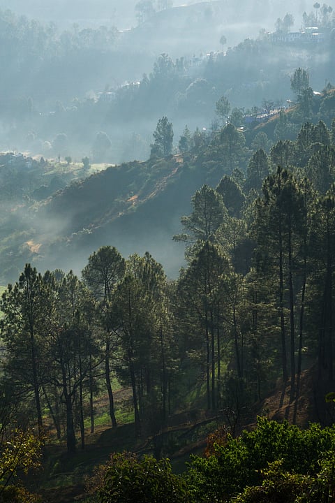 A morning in Kausani