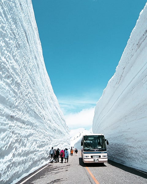 The Tateyama Kurobe Alpine Route “snow corridor” is popular with visitors. The snow walls here are up to 20 metres high