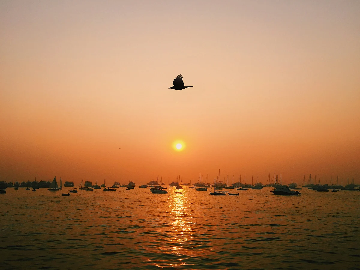 lukelung1991/Unsplash