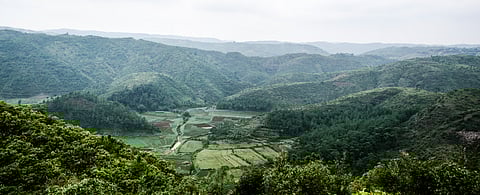 The hills of Mawphlang