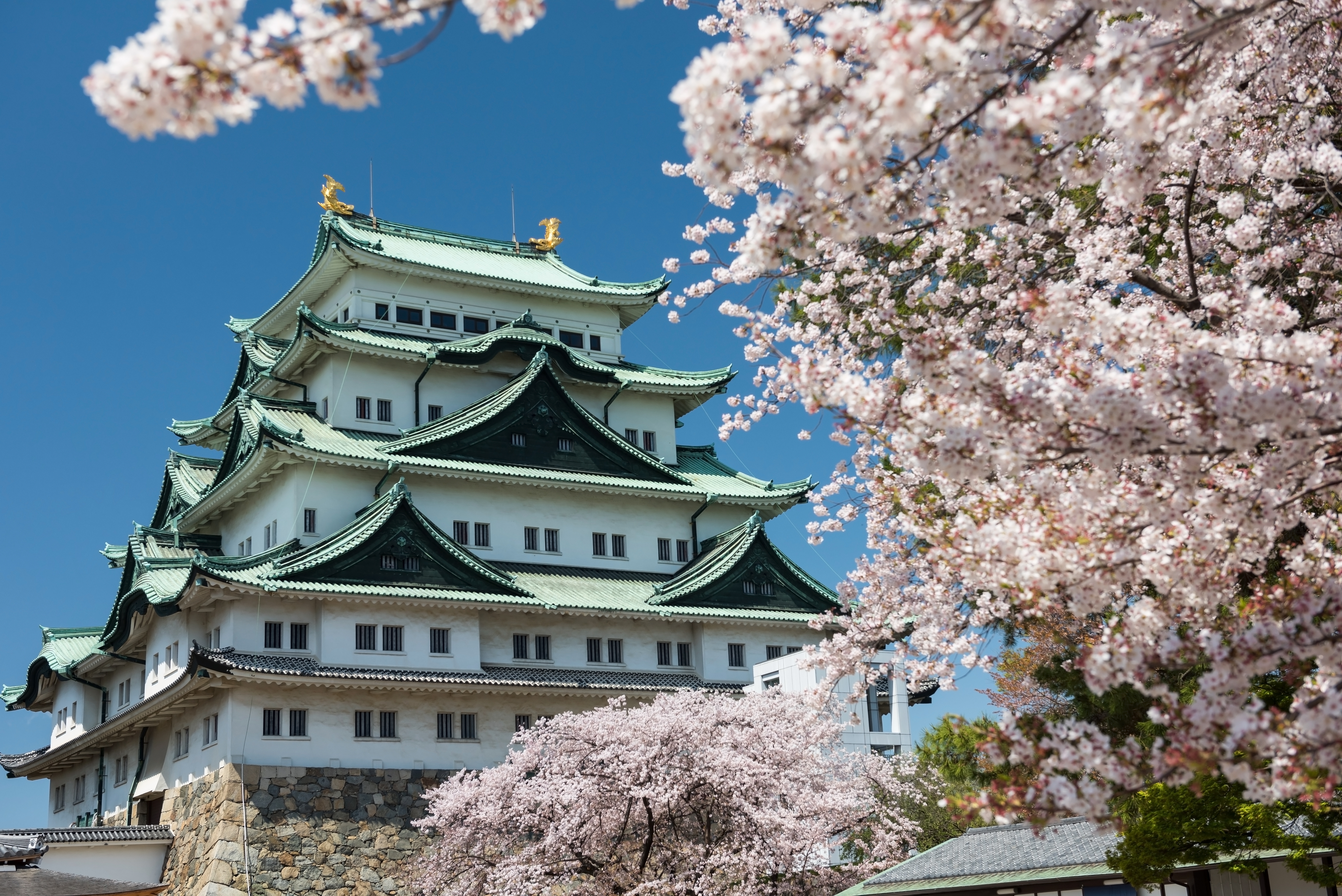 A view of the Nagoya Castle, Aichi