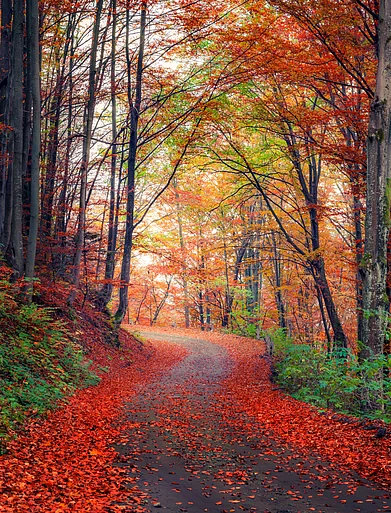 Shutterstock : Autumn in Europe