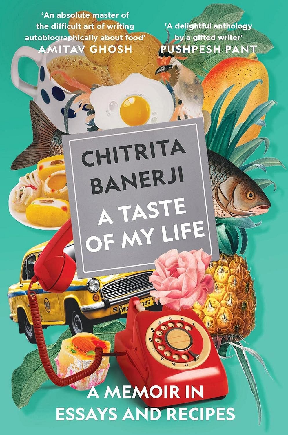 A Taste Of My Life by Chitrita Banerji
