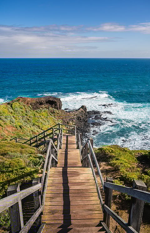 A sunny day at Mornington Peninsula