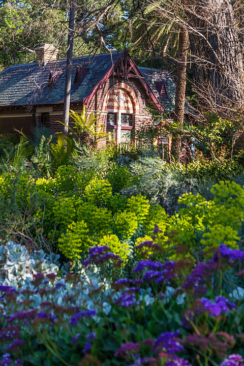 The serene landscape of Royal Botanic Gardens Victoria