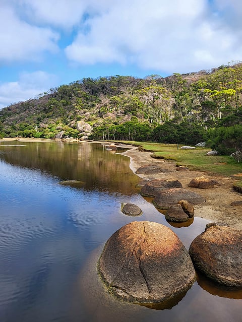 A view of the Wilson’s Promontory National Park