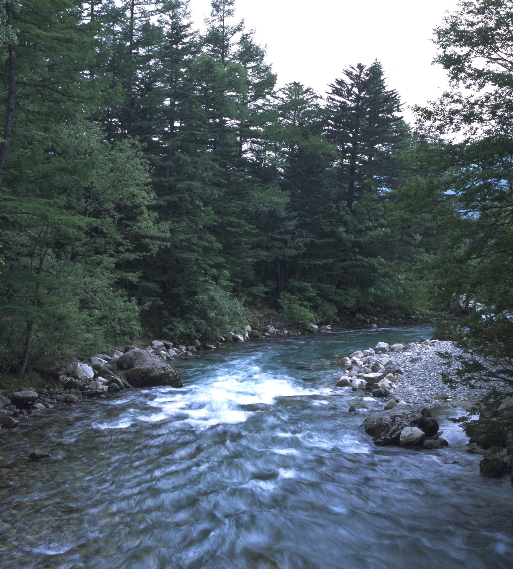 A river bed in the forest of Dooars