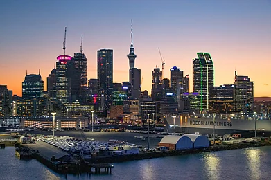 Nate Hovee/Shutterstock : Night view of Aucklands skyline