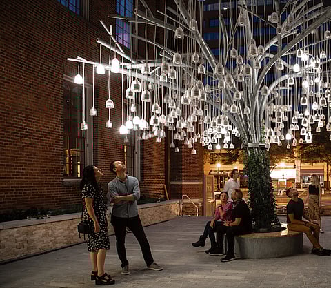 The "Speaking Willow" exhibit at Planet Word, Washington, D.C.