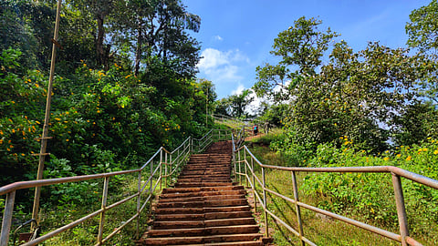 Stairway leading into the hills of Sakleshpur, Karnataka