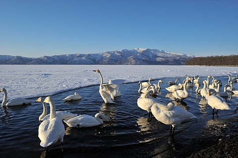 At the picturesque Kussharo Lake