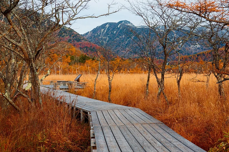 Autumn scenery of Senjogahara, a preserved wetland in Nikko National Park - Shutterstock