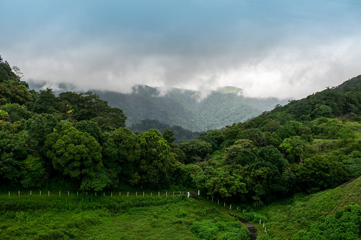 A landscape shot of Gavi