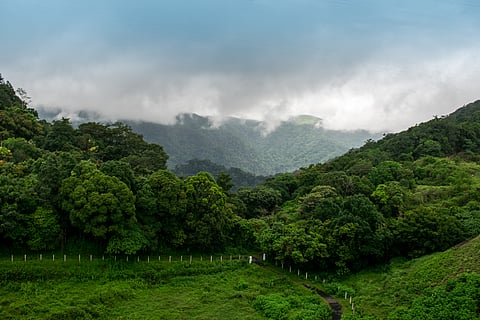 A landscape shot of Gavi