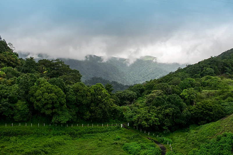 A landscape shot of Gavi