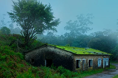 Shutterstock : A hut within the wintry landscape of Kochupamppa, Gavi