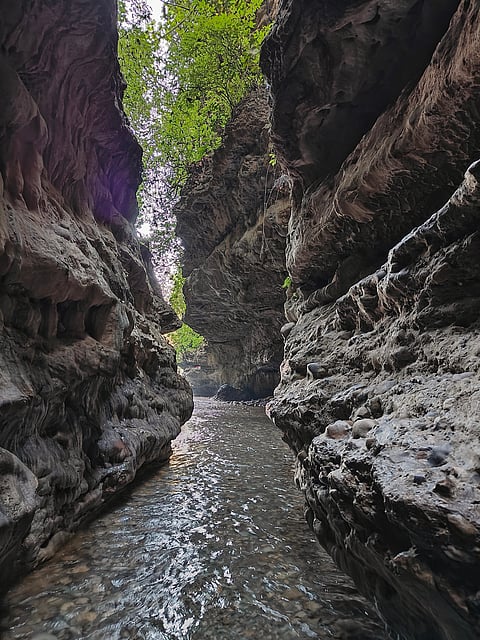 Inside the Dehradun's Robber’s Cave