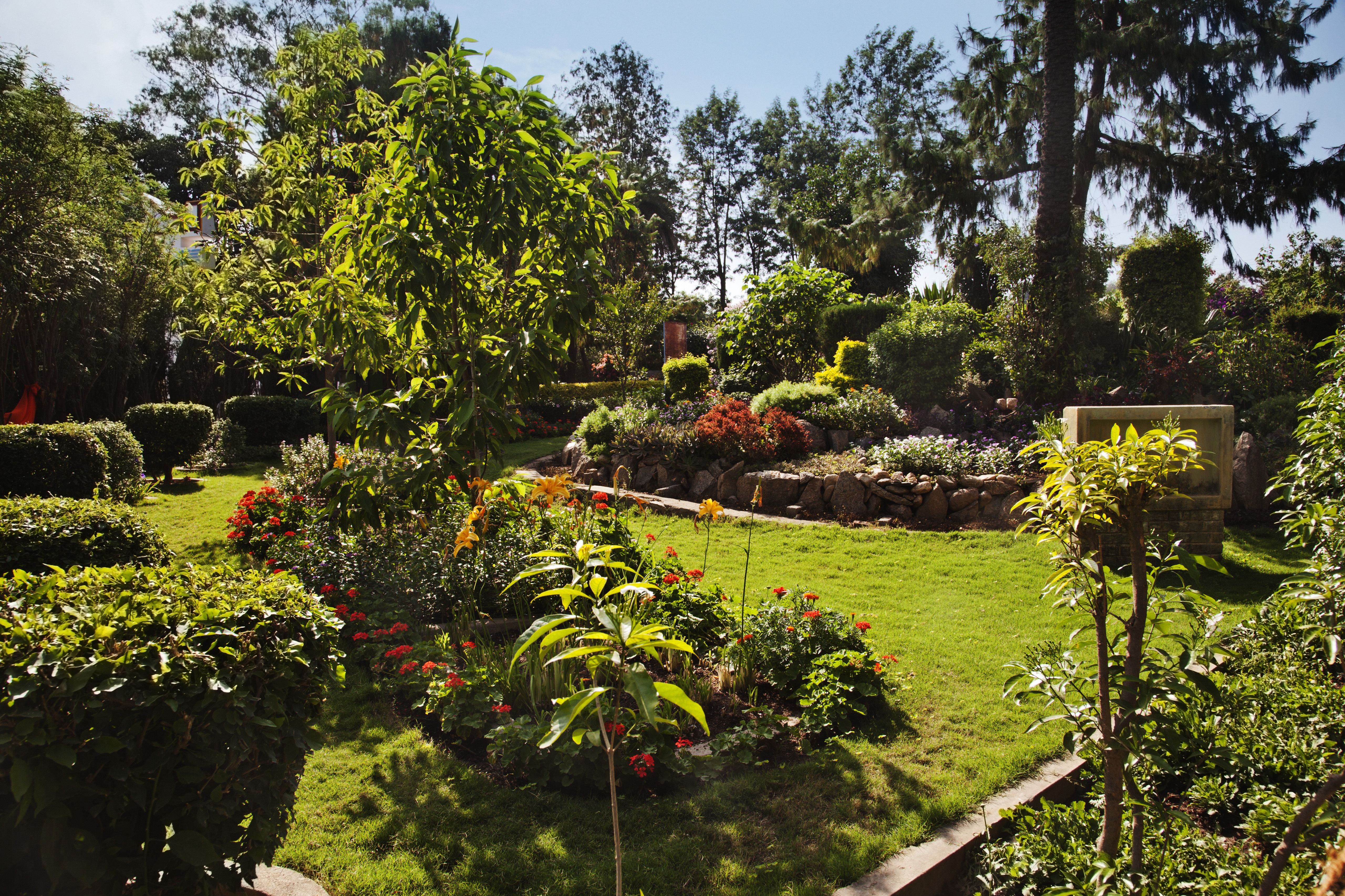 At the Peace Park of Mount Abu