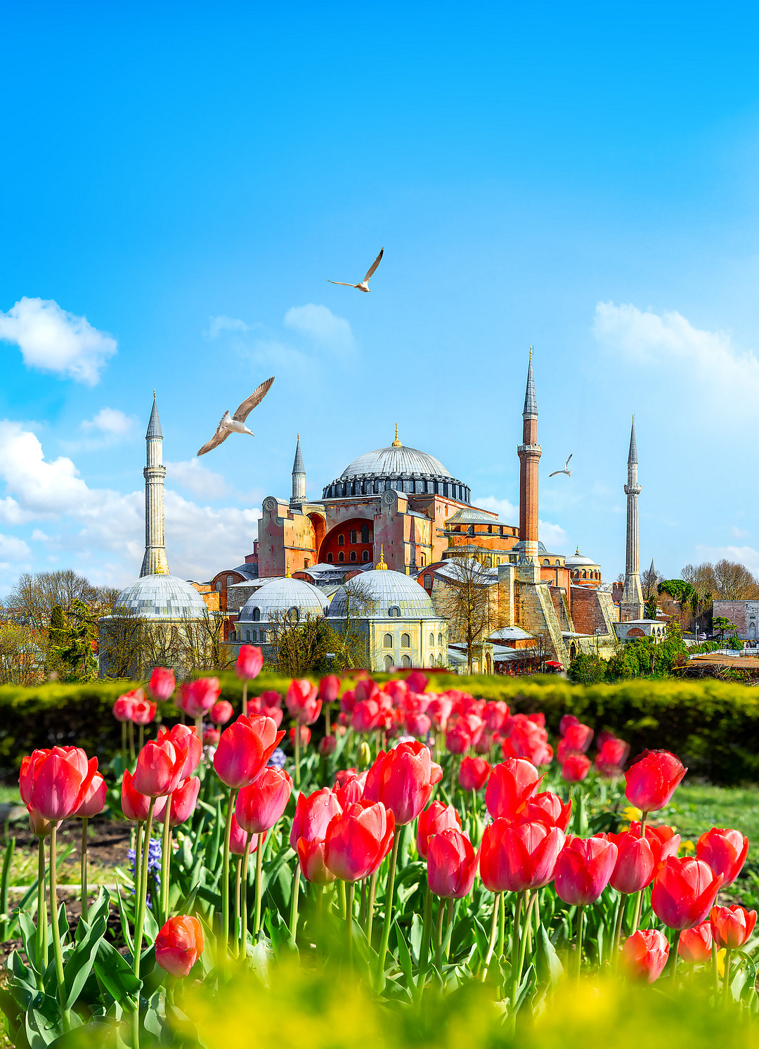 A view of the pretty Hagia Sophia