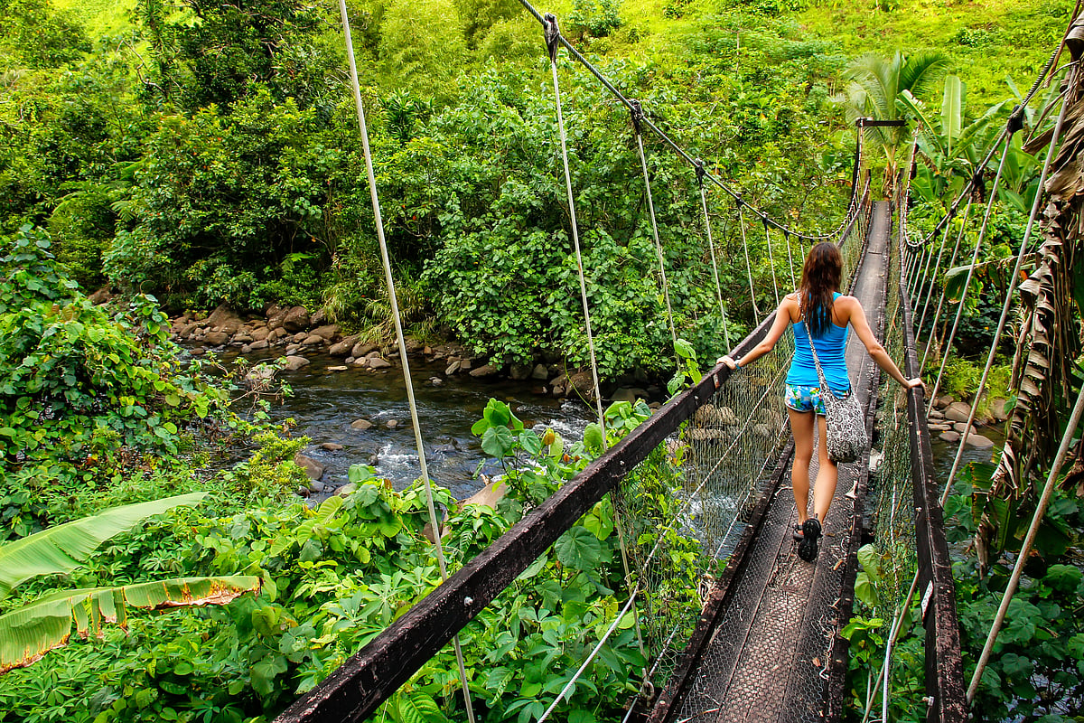 Lavena Coastal Walk, Taveuni Island, Fiji