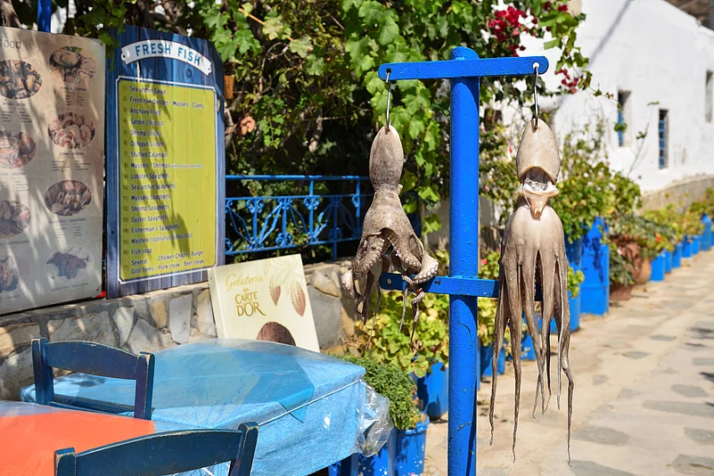 Drying octopus on the street in Sifnos