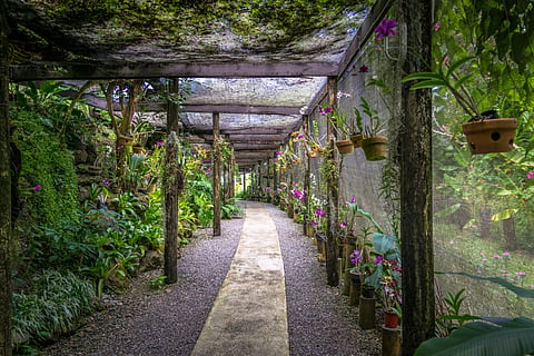 At the Garden of the Sleeping Giant