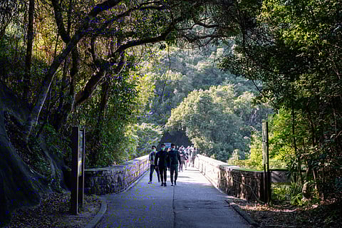 Tai Tam Country Park