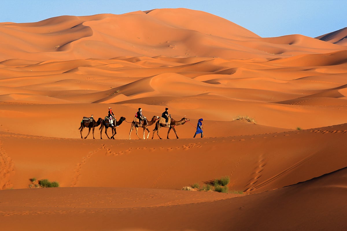Camel Trekking
