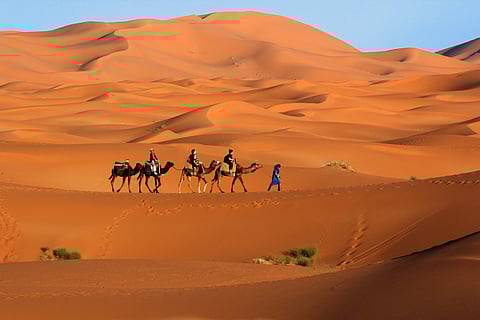 Camel Trekking