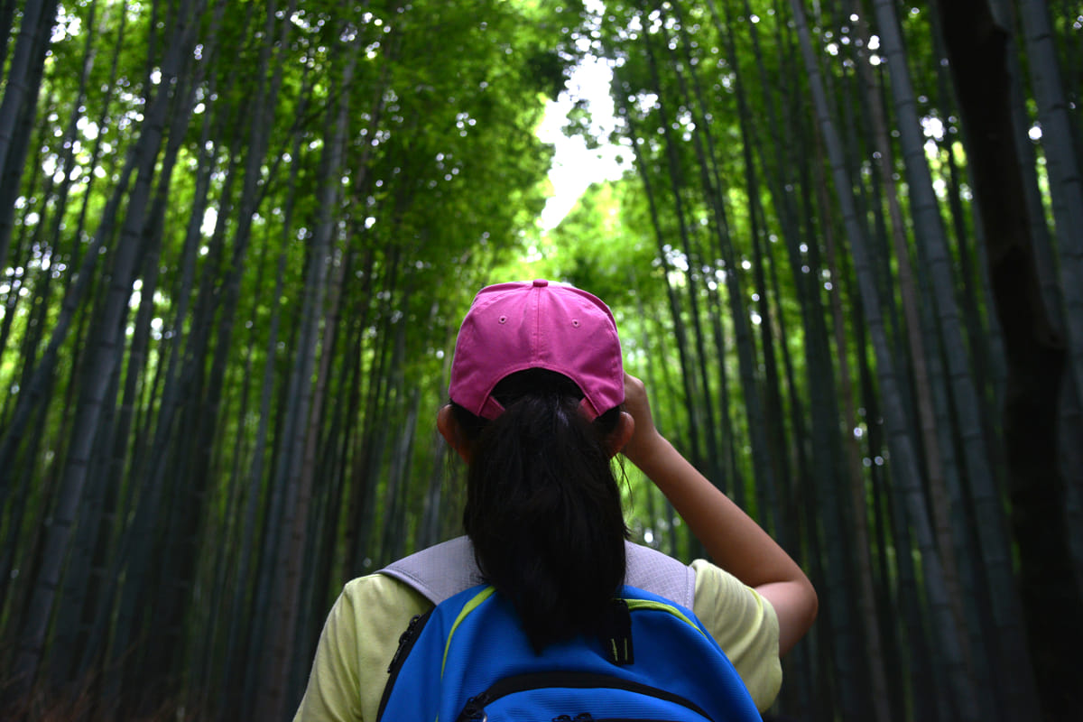 Sarunyu L/Shutterstock