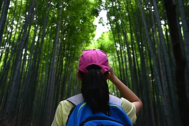 Sarunyu L/Shutterstock : Tokyo is the best place to spend time with your family as it is an affordable city when compared to other global metropolises