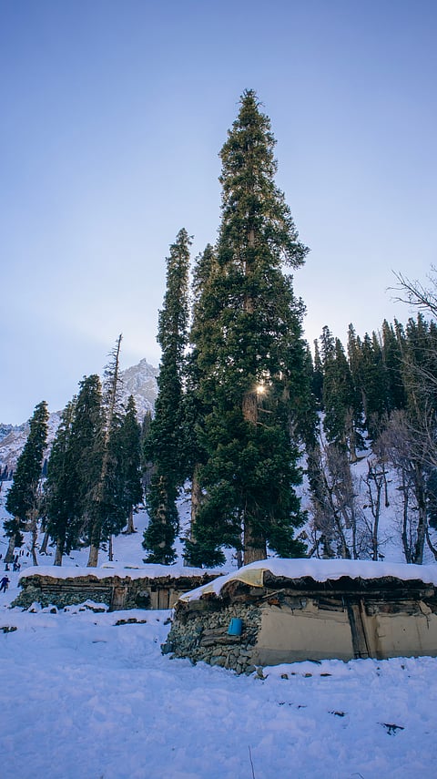 Beautiful landscape of Sonmarg in winter
