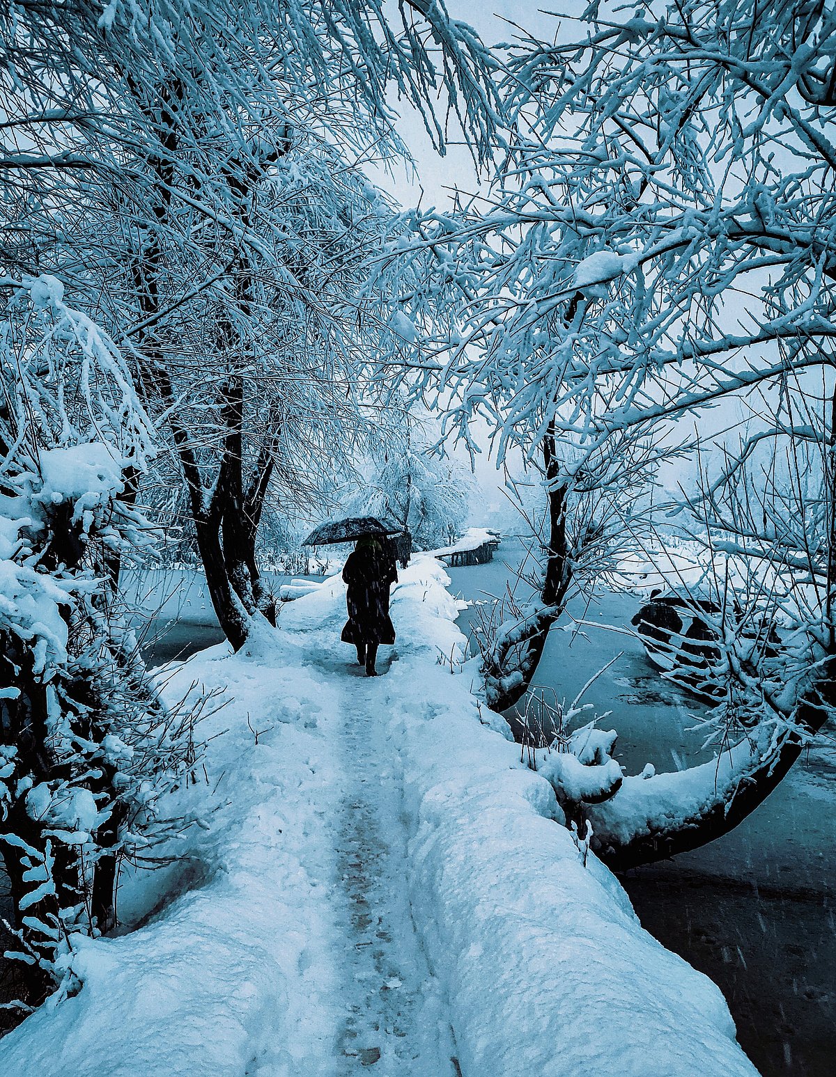Shutterstock : Peak winter season in Srinagar, Kashmir