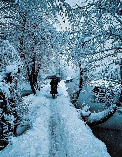 Shutterstock : Peak winter season in Srinagar, Kashmir