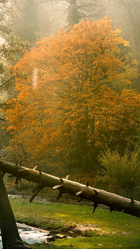 A view of Kokernag right before the snow season
