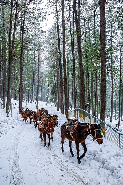 A view of winter-laden landscape of Pahalgam