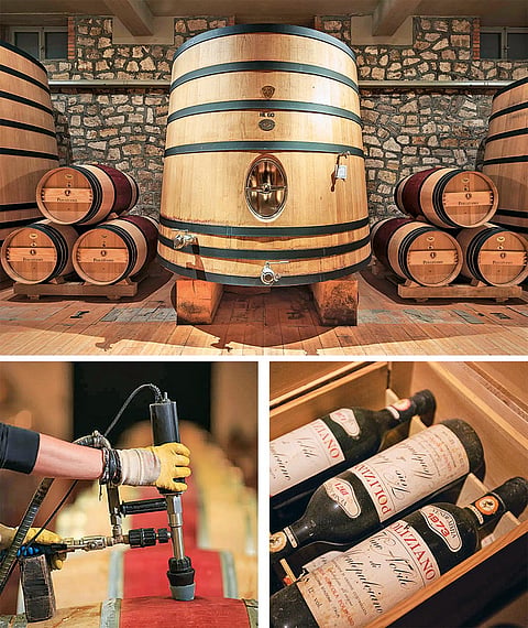 Poliziano winery is a top producer of Vino Nobile De Montepulciano, 
and has been operating since 1961