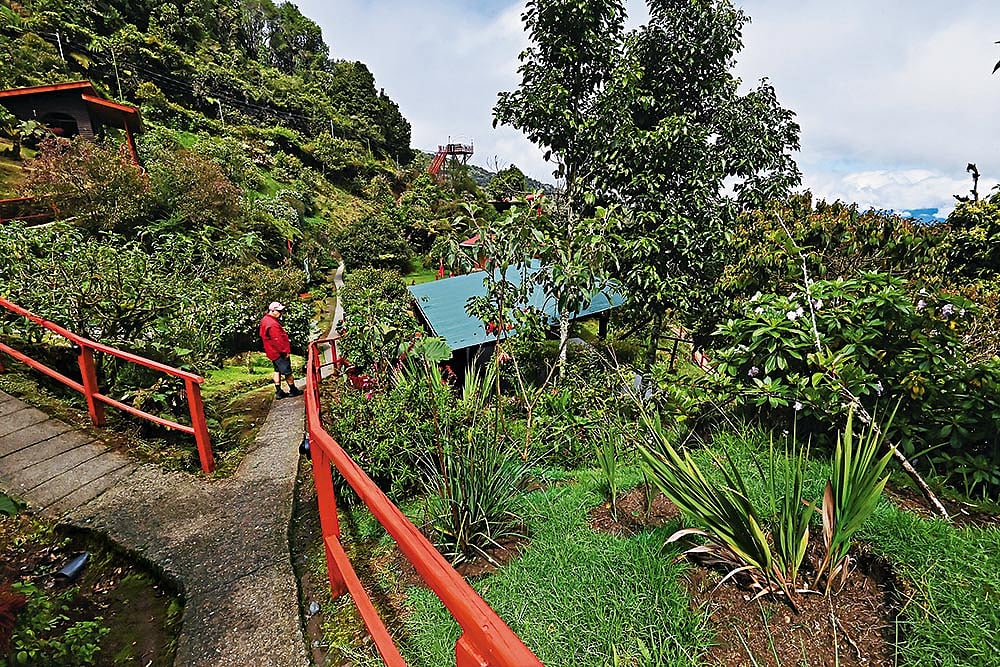 The flower garden at Paraiso Quetzal Lodge 